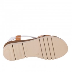 Cuñas Zapp 3744 Mujer Colores