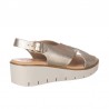 Cuñas Zapp 2451 Mujer Oro