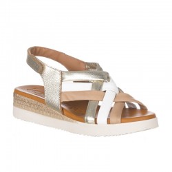 Cuñas Zapp 3279 Mujer Colores