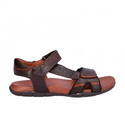 Sandalias Hombre Kangaroos 1001 Marron