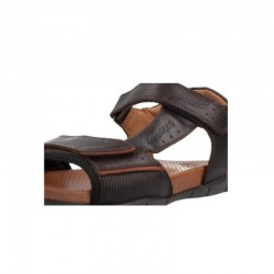 Sandalias Hombre Kangaroos 858 Marron
